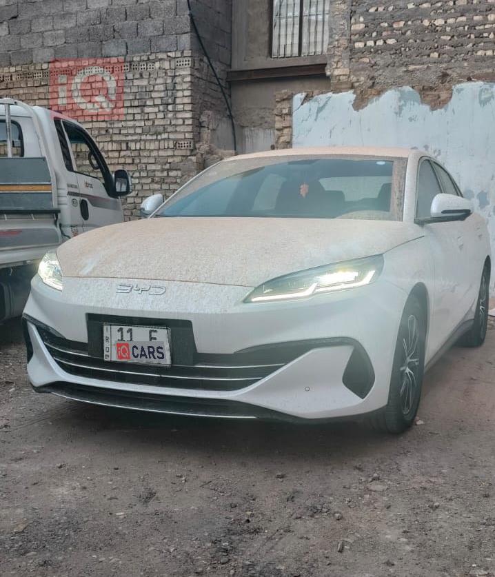 بي واي دي سيل 6